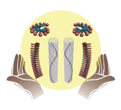 Chiral Mesoporous Silica: Chiral Construction and Imprinting via Cooperative Self-Assembly of Amphiphiles and Silica Precursors