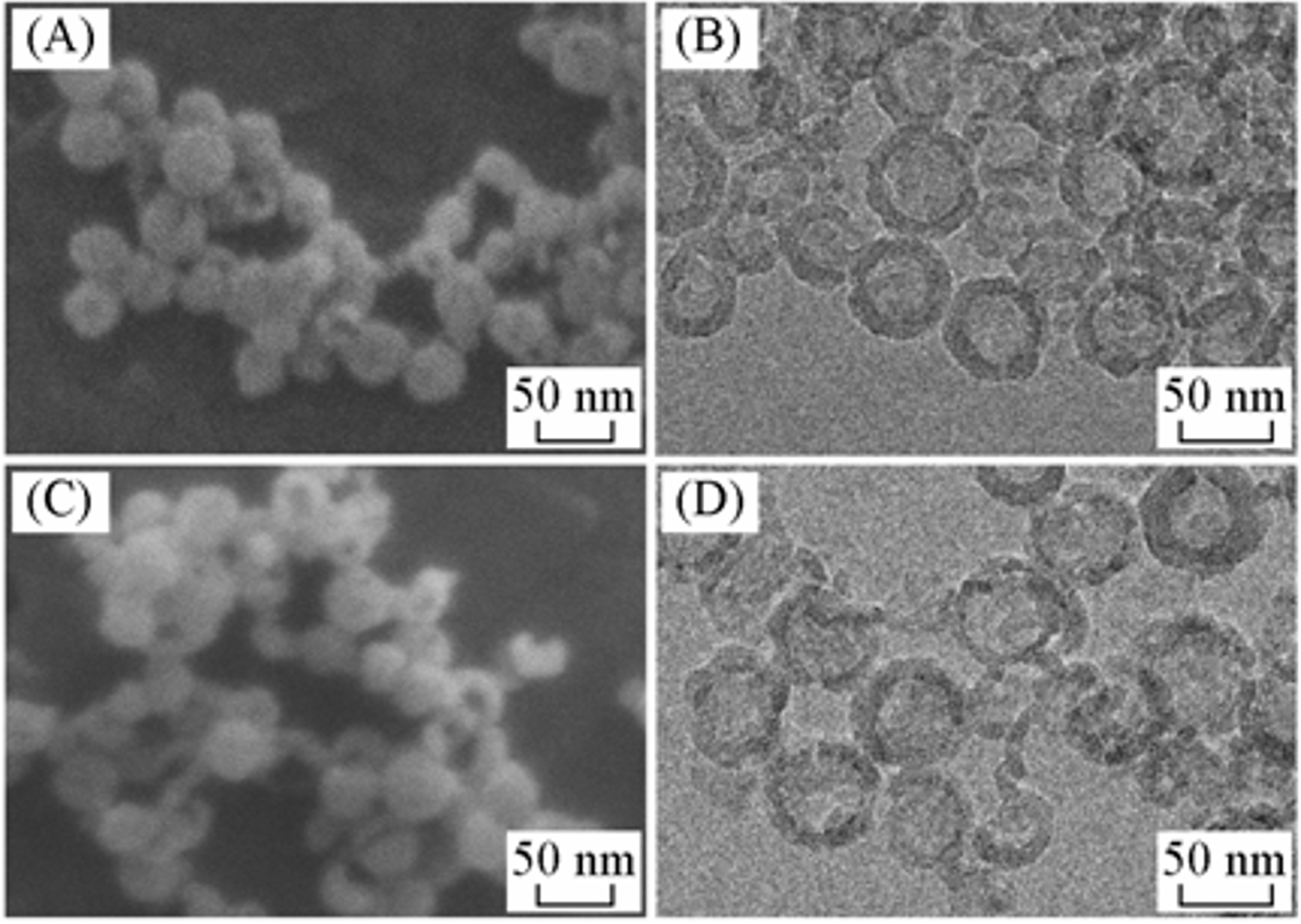  Synthesis of Silica Hollow Spheres with Diameter around 50 nm by Anionic Surfactant