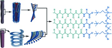 Design of Amphiphilic Peptide Geometry towards Biomimetic Self-Assembly of Chiral Mesoporous Silica