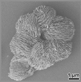 Optically Active Nanostructured ZnO Films