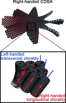 Water-Dependent Optical Activity Inversion of Chiral DNA–Silica Assemblies
