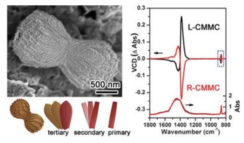 Chiral Mesostructured Carbonate with Vibrational Circular Dichroism