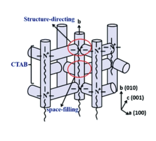  An Insight into the Role of the Surfactant CTAB in the Formation of Microporous Molecular Sieves