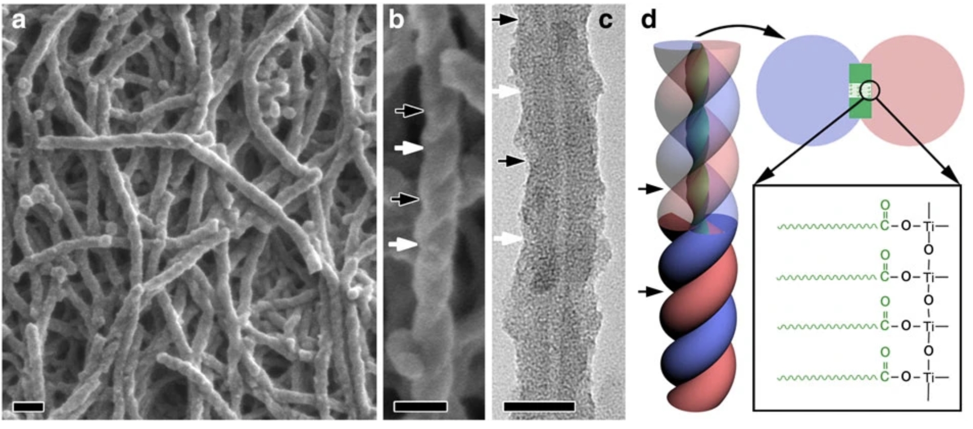 Synthesis of Chiral TiO 2 Nanofibre with Electron Transition-Based Optical ActivitySynthesis of Chiral TiO 2 Nanofibre with Electron Transition-Based Optical Activity