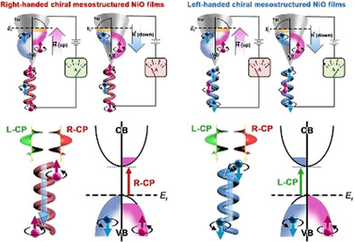Chiral Mesostructured NiO Films with Spin Polarization