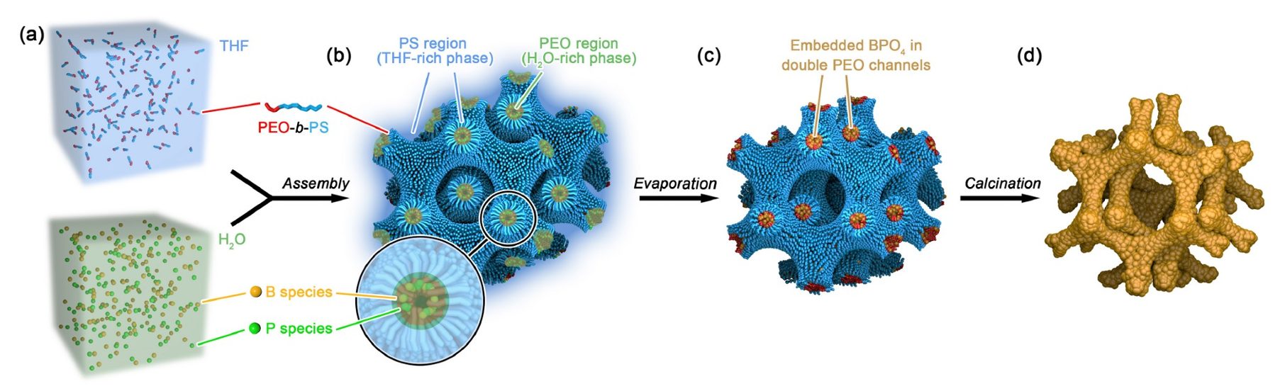 Synthesis of ordered mesoporous crystalline boron phosphate scaffold with double diamond surface structure