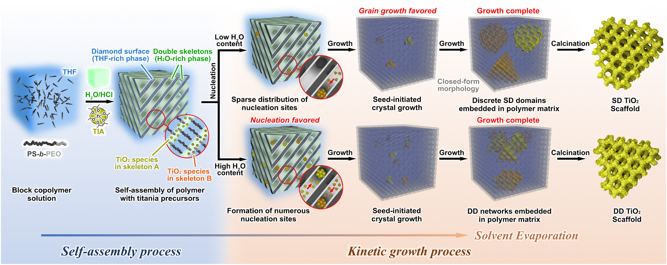 Construction of the single-diamond-structured titania scaffold—Recreation of the holy grail photonic structure