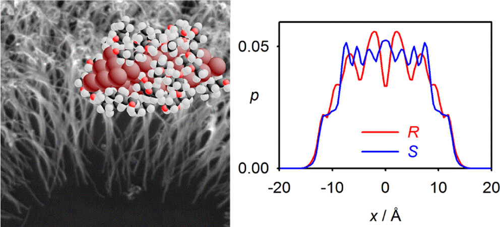 Reproduction of Chiral Anisotropy in Surface-Enhanced Raman Scattering on Gold Nanowires by Computational Modeling