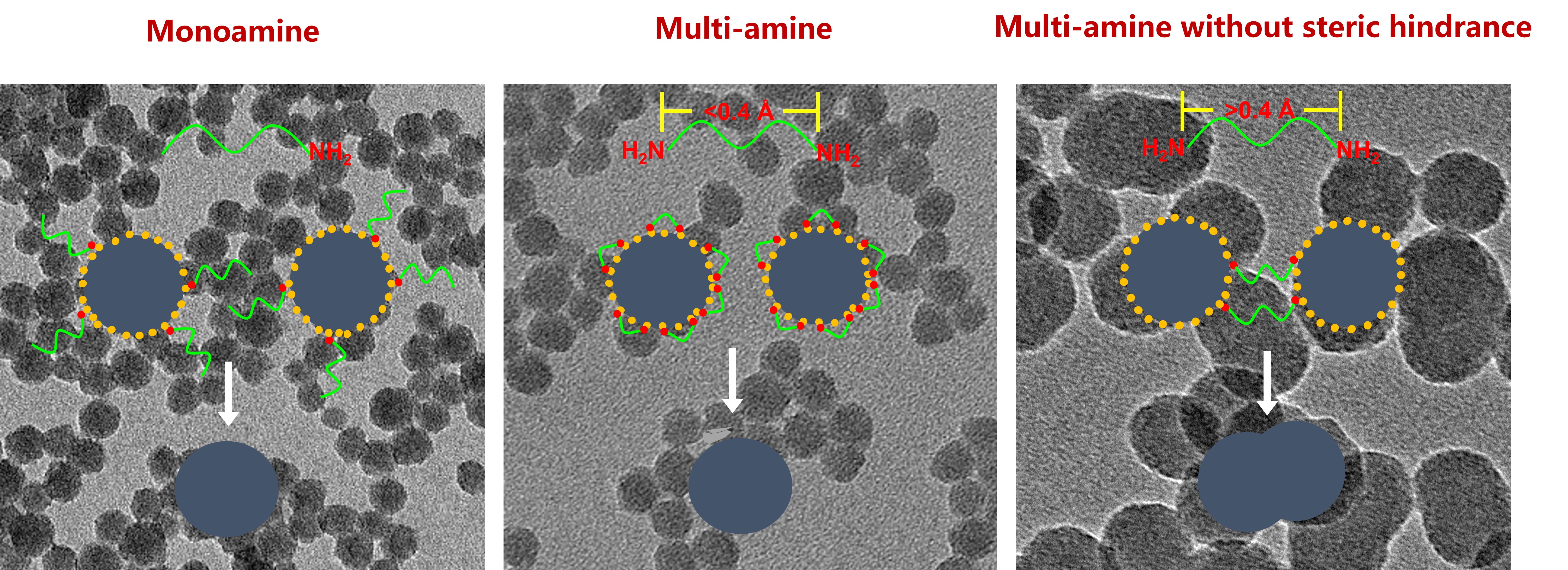 Synthesis of anisotropic silica nanoparticles by organic amine with diverse structures