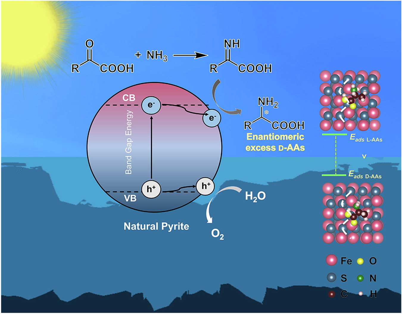 Prebiotic formation of enantiomeric excess D-amino acids on natural pyrite