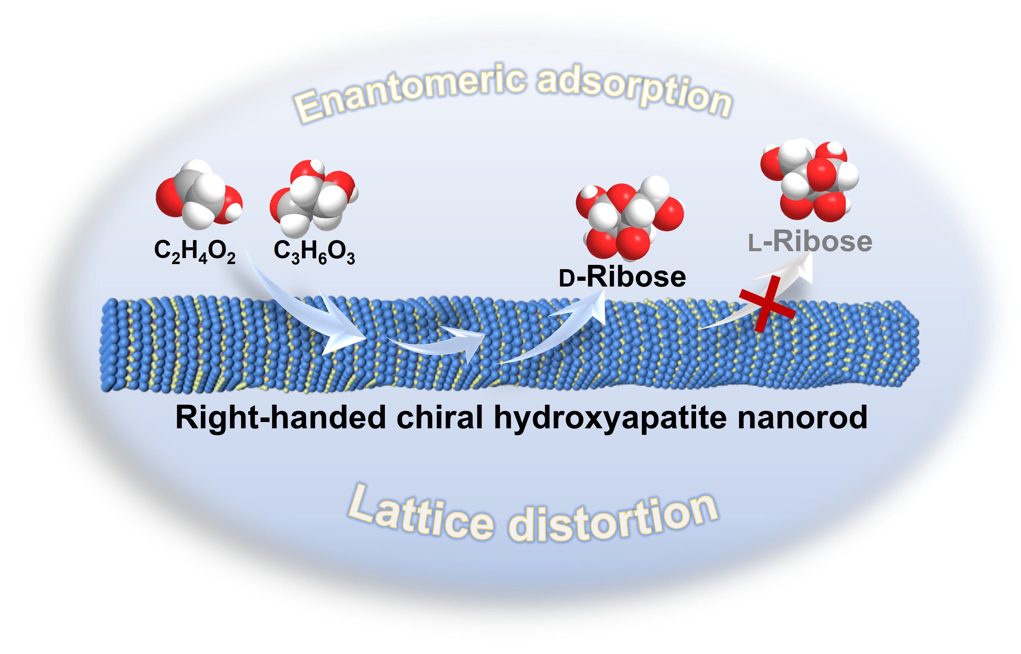 Enantioselective Abiotic Synthesis of Ribose on Chiral Mesostructured Hydroxyapatite