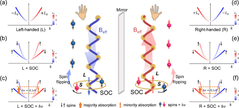 Photomagnetic-Chiral Anisotropy Mediated by Chirality-Driven Asymmetric Spin Splitting