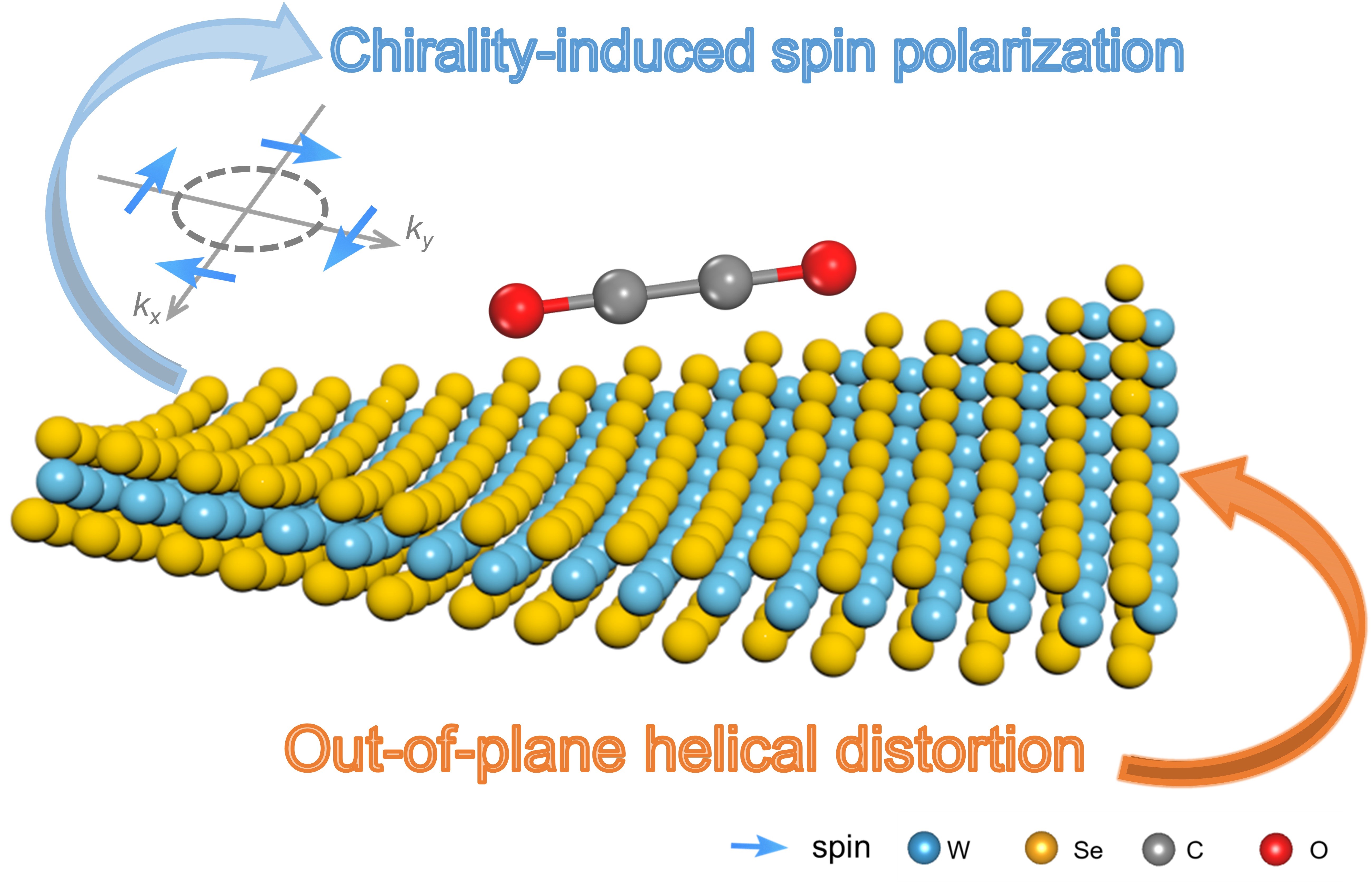 First-principles insight into helical distortion in chiral WSe2 for promoting C-C coupling in CO2 reduction