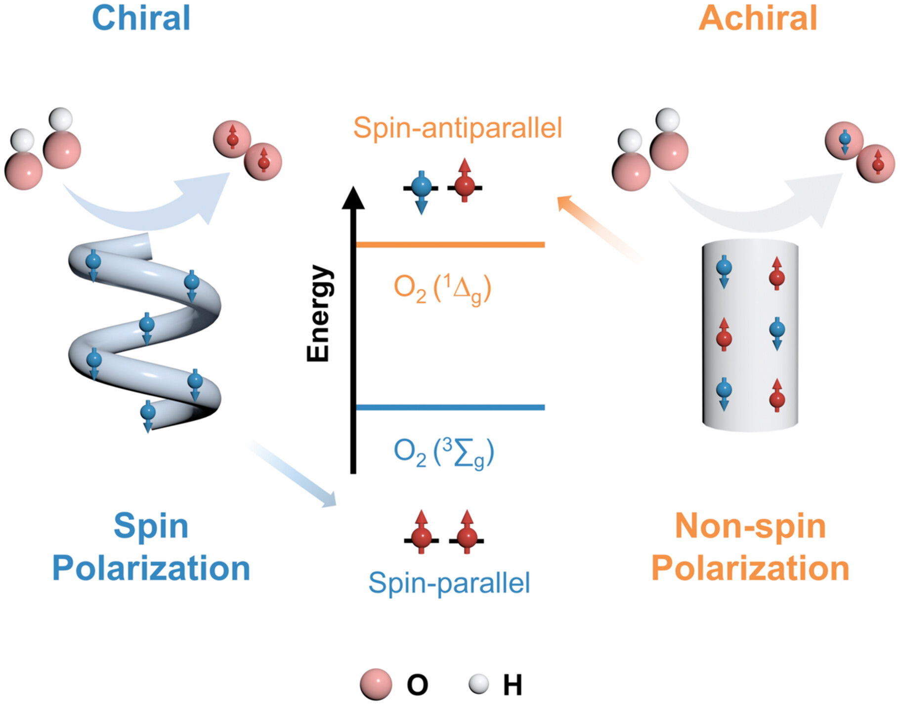 Spin Polarization in Chiral Nanostructured Pd Films for Enhanced Oxygen Evolution Performance